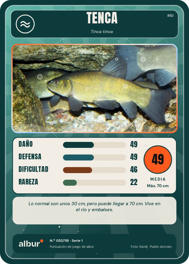 Carta de albur: Tenca