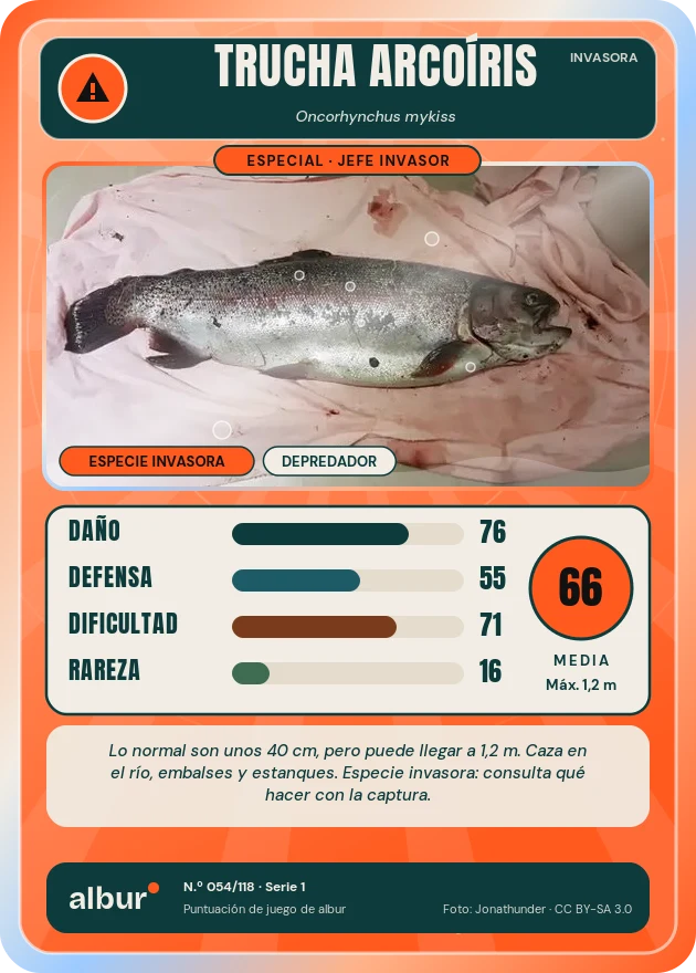 Carta de albur: Trucha arcoíris