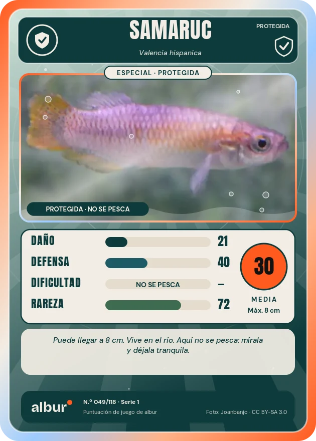 Carta de albur: Samaruc
