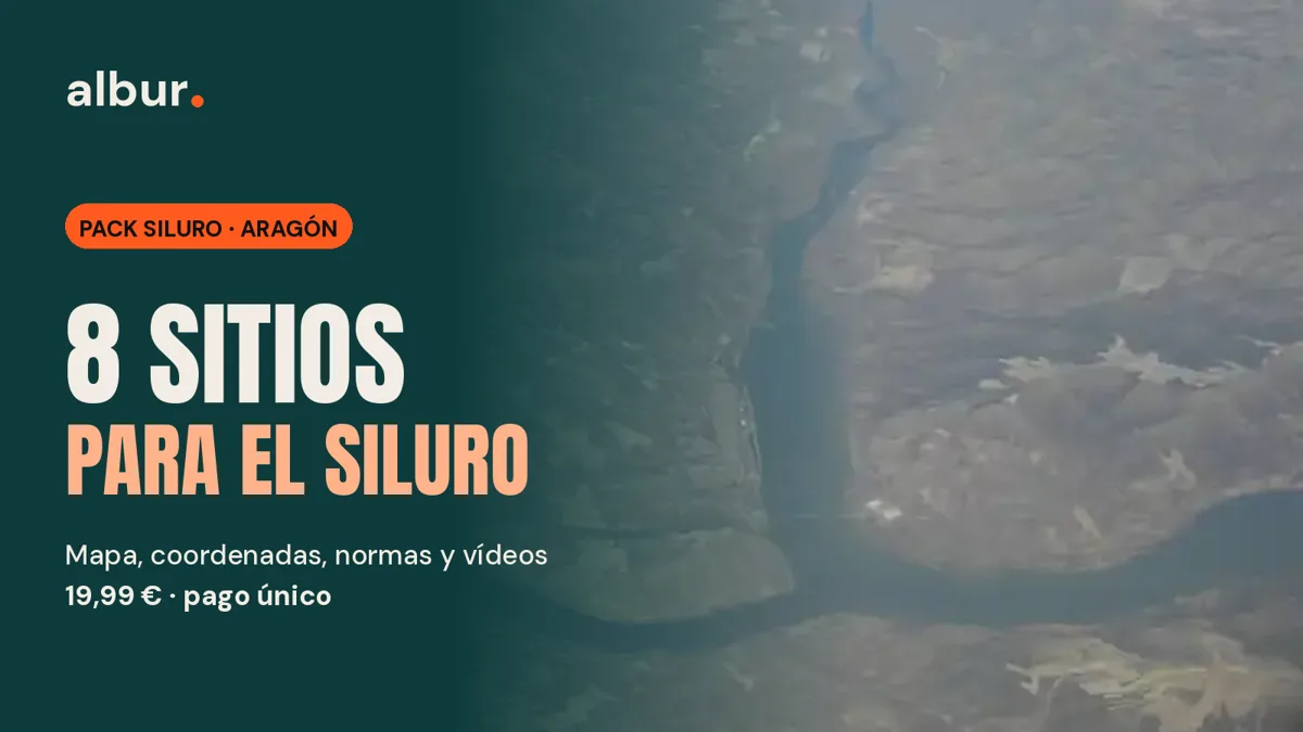 Pack Siluro · Aragón