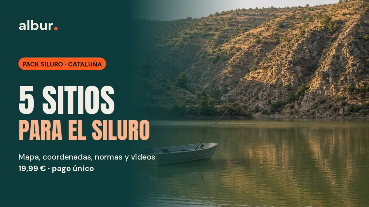 Pack Siluro · Cataluña